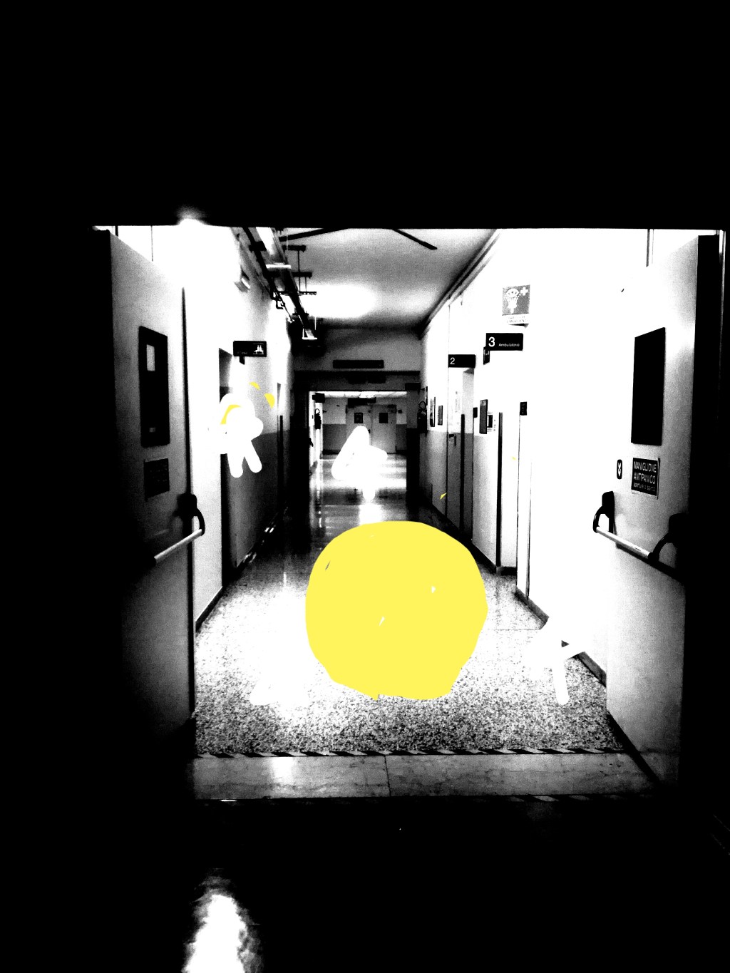 LA LIBERTÀ DELLA&nbsp;LUNA